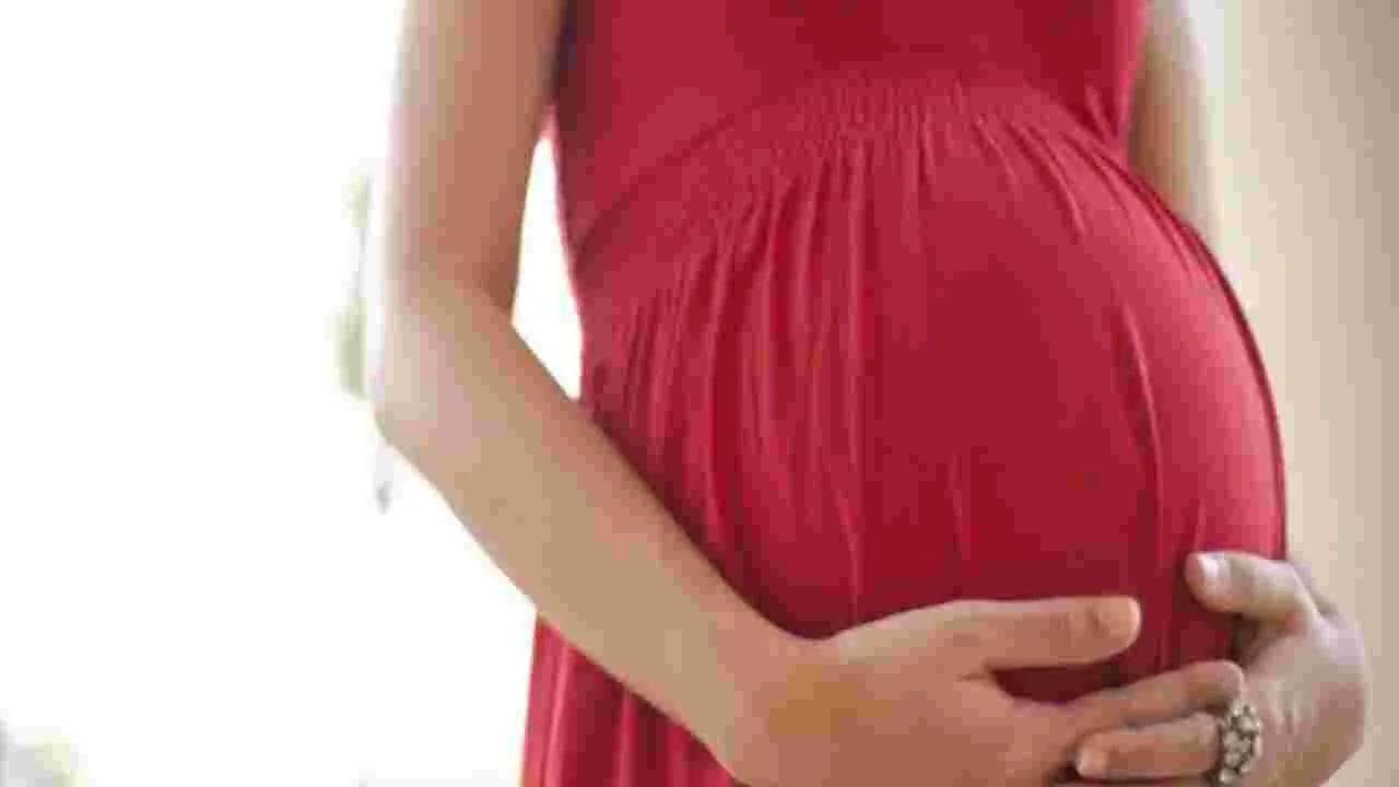 Pregnancy Care: గర్భిణులకు ‘జననీ మిత్ర’!