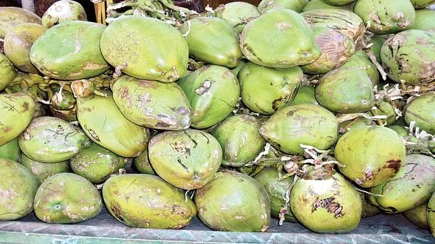    కొండెక్కిన కొబ్బరి బోండం 