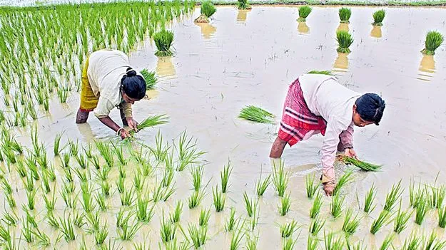 Rainfall: ఖరీఫ్‌.. బేఫికర్‌!