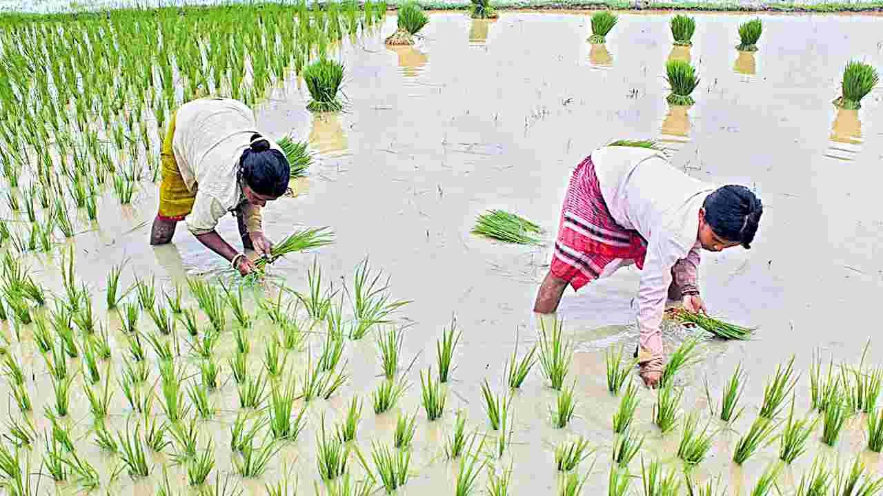Rainfall: ఖరీఫ్‌.. బేఫికర్‌!