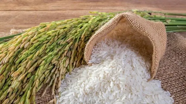 Rice Auction: 7 లక్షల టన్నుల పాత ధాన్యానికి మళ్లీ వేలం!