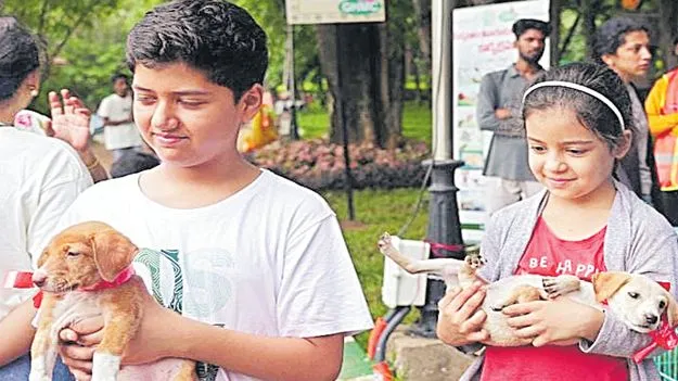 Hyderabad: జీహెచ్‌ఎంసీ ఆధ్వర్యంలో 24 కుక్క పిల్లల దత్తత