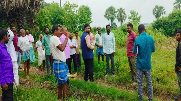 పంటలను పరిశీలించిన సబ్‌ కలెక్టర్‌ 