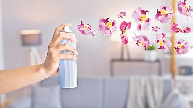 Room Fresheners: ఇంట్లో ఆరోగ్యకరమైన పరిమళాలు