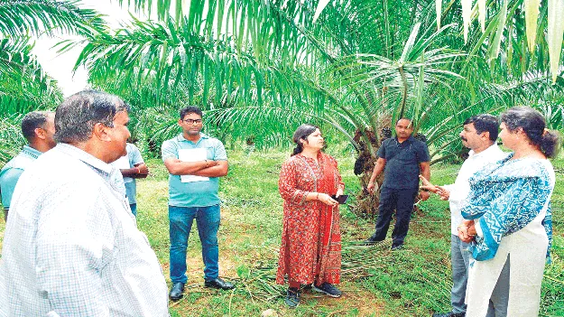 ఆయిల్‌ పామ్‌ సాగుకు ప్రాధాన్యం ఇవ్వాలి
