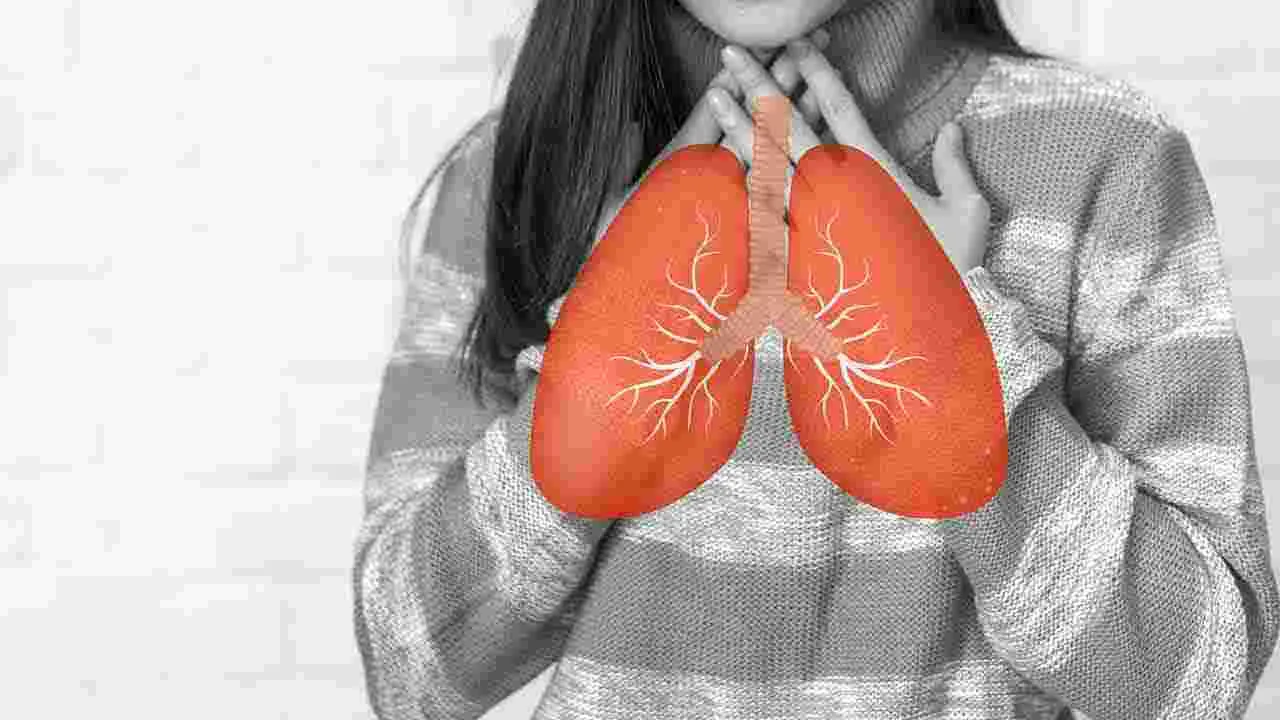 Environmental Toxins: కాలుష్యంతో క్యాన్సర్‌