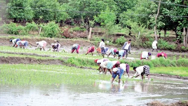 నీళ్లు దండిగా సాగు పండగ