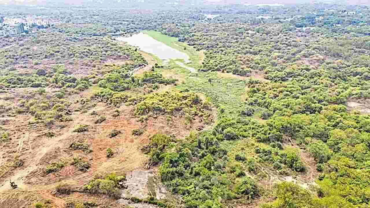 Gachibowli Forest Restoration: అడవి పునరుద్ధరణకు సమగ్ర ప్రణాళిక