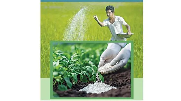 Telangana Agriculture: ఎరువులపై కేంద్రం విధానం మారాలి