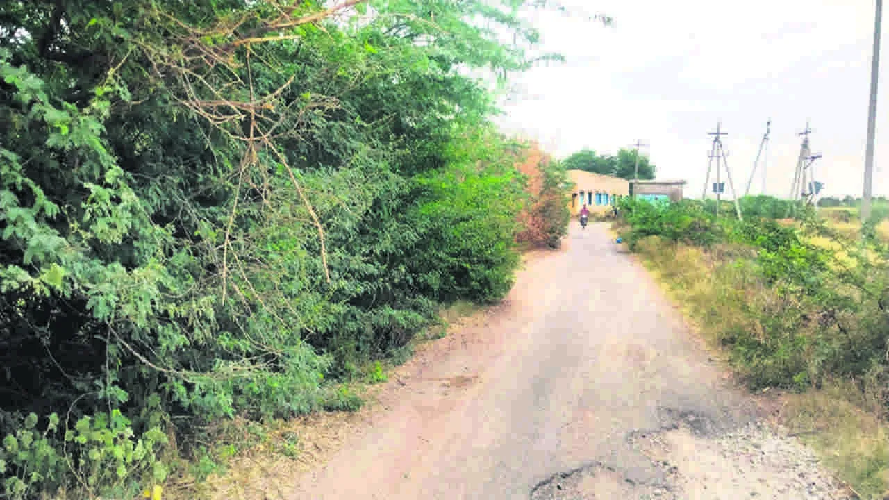 ROAD: రోడ్డును కప్పేసిన కంపచెట్లు 