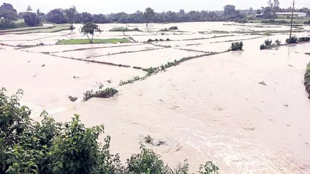 వరికి వరదపోటు