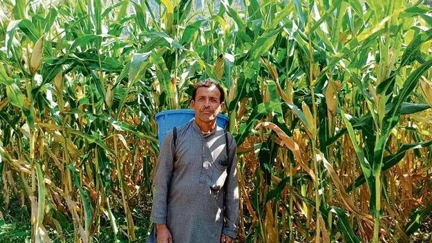 Agriculture: రైతులకు శుభవార్త.. మార్కెట్లోకి కొత్త ఉత్పత్తి..