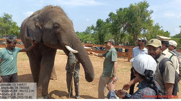 గజదాడులకు ఇక చెక్‌: పీసీసీఎఫ్‌ శ్రీధర్‌ 