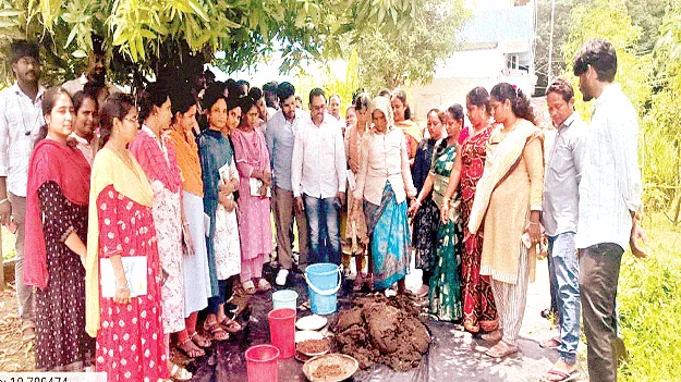  సేంద్రీయ ఎరువులతో బహుళ ప్రయోజనాలు