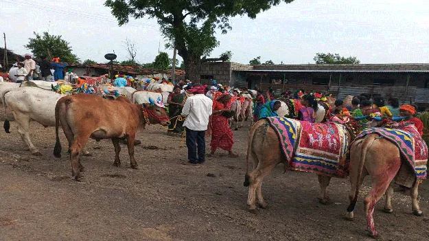 kumaram bheem asifabad- ఘనంగా పొలాల అమావాస్య