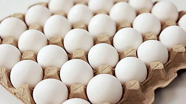 Egg Supply Tender: గుడ్ల టెండర్లలో నచ్చిన ధరలు