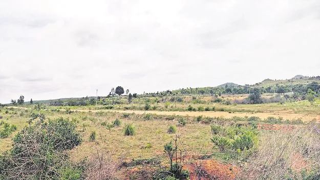 Land : రాబందులు వచ్చేశాయ్‌..!