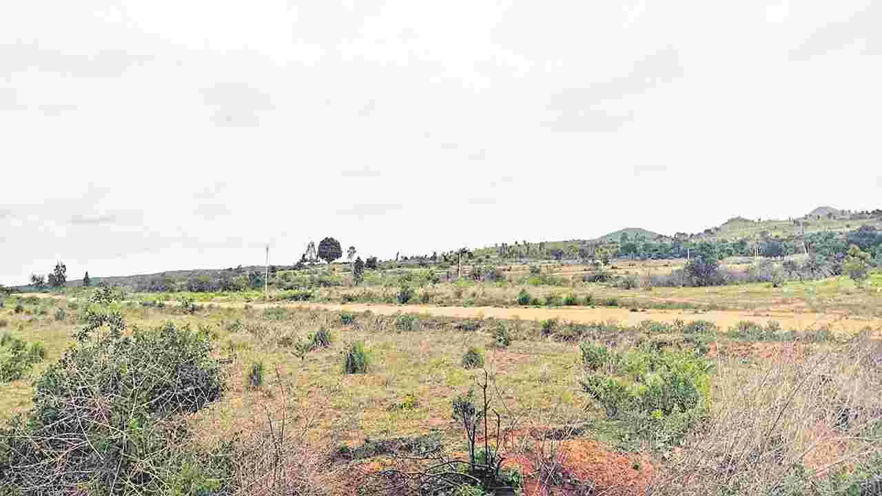 Land : రాబందులు వచ్చేశాయ్‌..!
