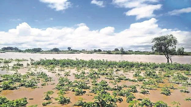 Rain : ప్రత్యామ్నాయానికి పదును..!