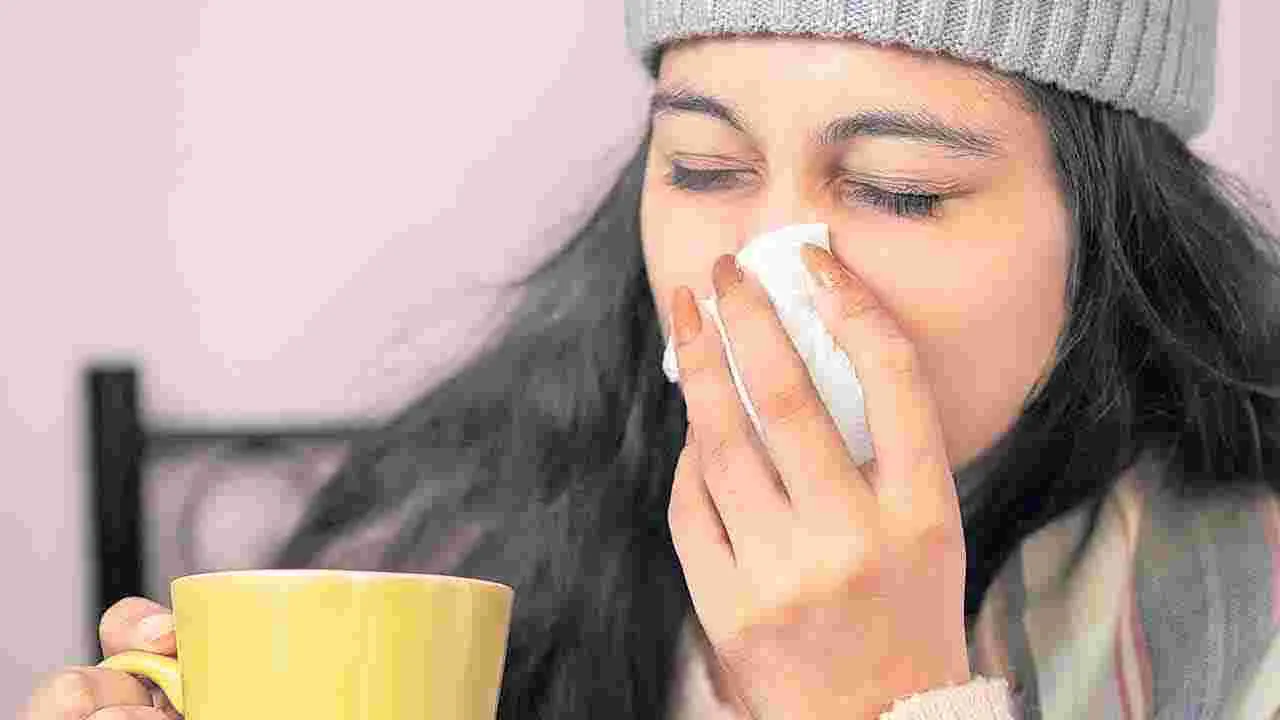 Monsoon Health Tips: జలుబు చేయకుండా ఇలా