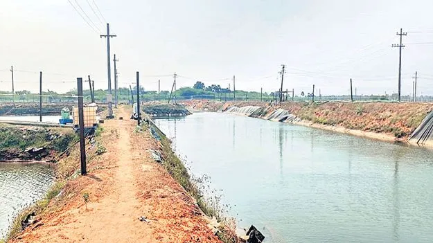 ఆక్వా రంగానికి ఊతం!