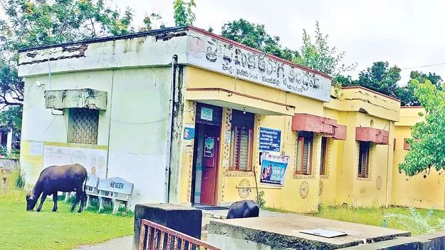  హా..సుపత్రి!