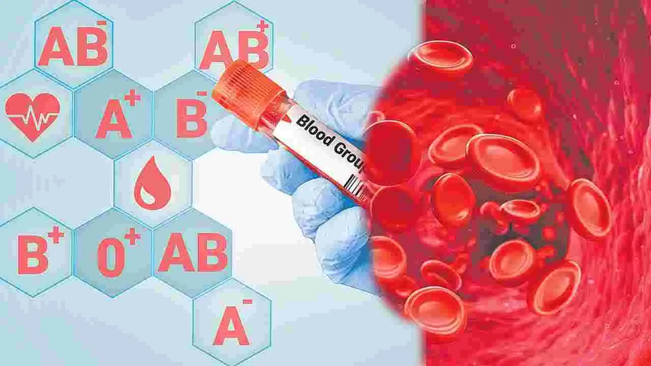 Crib Blood Group: కొత్త రక్తం క్రిబ్‌