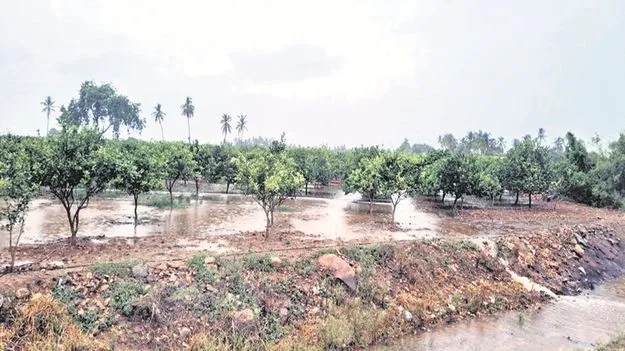 rain.. వర్షం రాకతో.. అన్నదాతల హర్షం