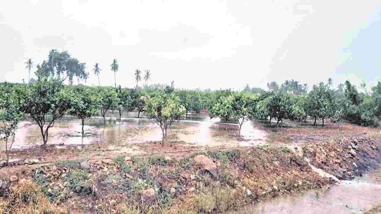 rain.. వర్షం రాకతో.. అన్నదాతల హర్షం