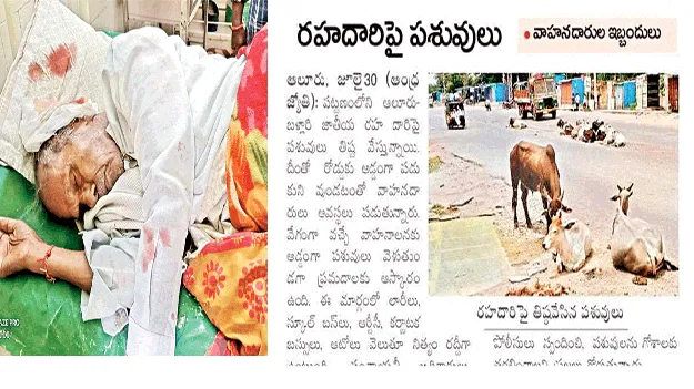  ప్రాణం తీస్తున్న పశువులు