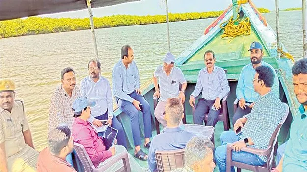 నాచుతో ఉపాధి