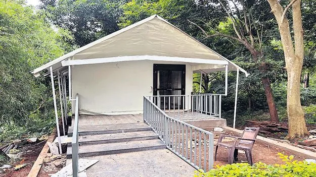 జంగిల్‌ బెల్స్‌లో జర్మన్‌ టెంట్లు