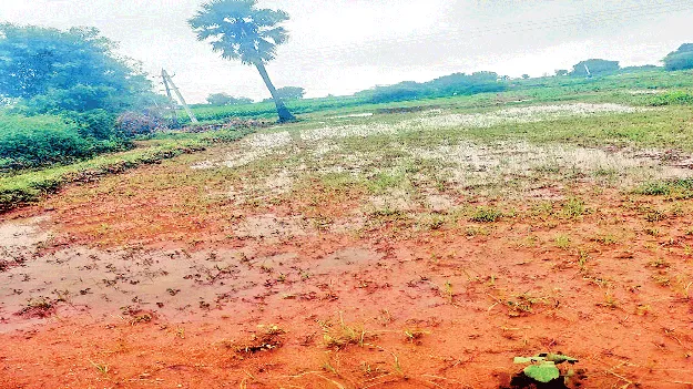 ముంచిన వర్షం