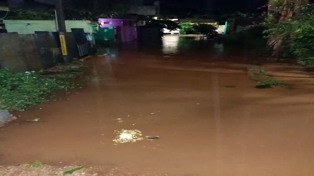 rain: ముంచిన వాన