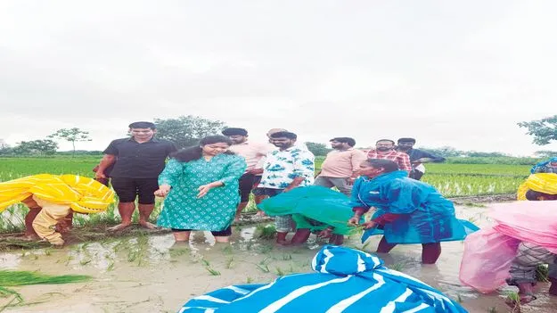 నాట్లేసిన ఎమ్మెల్యే పర్ణికారెడ్డి