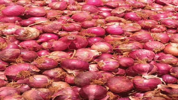 పెరిగిన ఉల్లి 