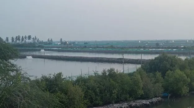 ‘మడ’త పెట్టేశారు..!