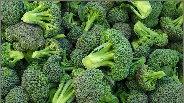 Broccoli Side Effects: బ్రోకలీ ఆరోగ్యానికి మంచిదే... కానీ వీరికి మాత్రం కాదు!
