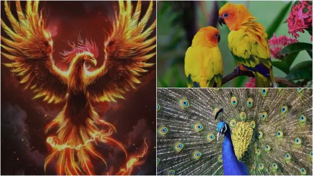 Home Tips:  ఈ ఫొటోలు ఇంట్లో ఉంటే అదృష్టం వెతుక్కుంటూ వస్తుంది.!