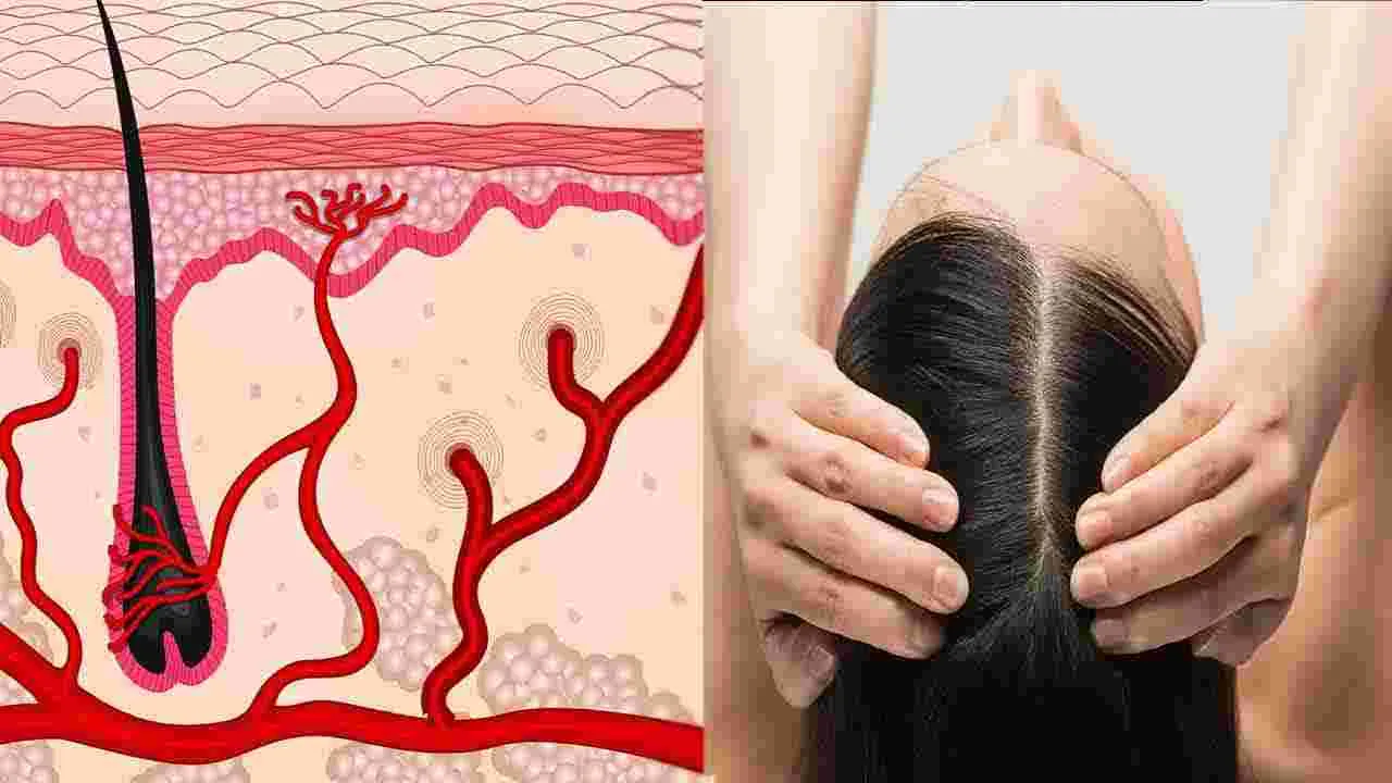 Hair Health: జుట్టు రాలడం 15 రోజుల్లో తగ్గిపోవాలంటే.. సింపుల్‌గా ఇలా చేయండి.. 