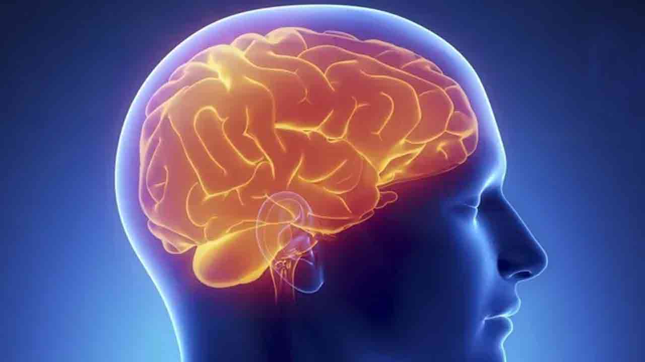 Brain Health Tips: ఈ ఆహారాలు తీసుకుంటే చాలు.. మీ బ్రెయిన్ షార్ప్‌గా మారినట్లే..