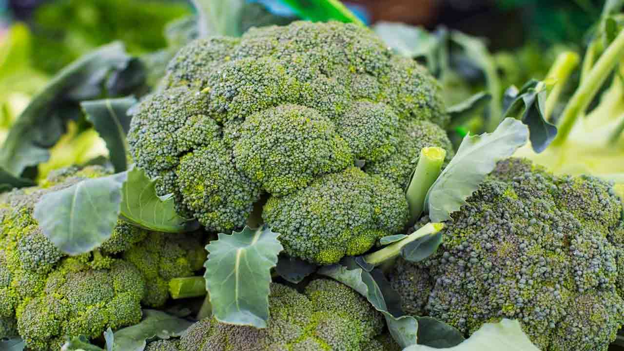 Brain Health Tips: ఈ ఆహారాలు తీసుకుంటే చాలు.. మీ బ్రెయిన్ షార్ప్‌గా మారినట్లే..