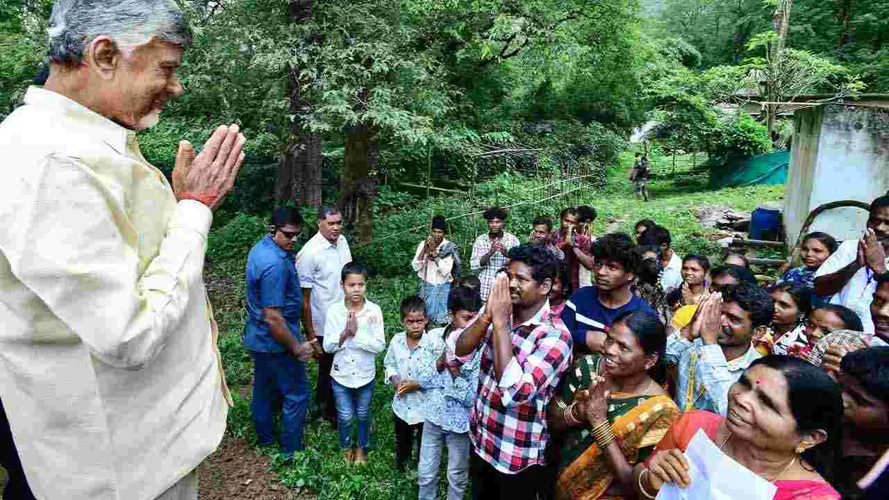 Tribal Day: ఏపీలో వైభవంగా ఆదివాసీ దినోత్సవం, అడవి బిడ్డలతో సీఎం చంద్రబాబు మమేకం