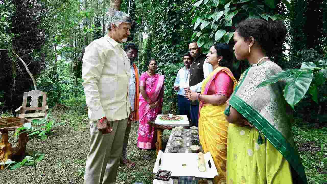 Tribal Day: ఏపీలో వైభవంగా ఆదివాసీ దినోత్సవం, అడవి బిడ్డలతో సీఎం చంద్రబాబు మమేకం