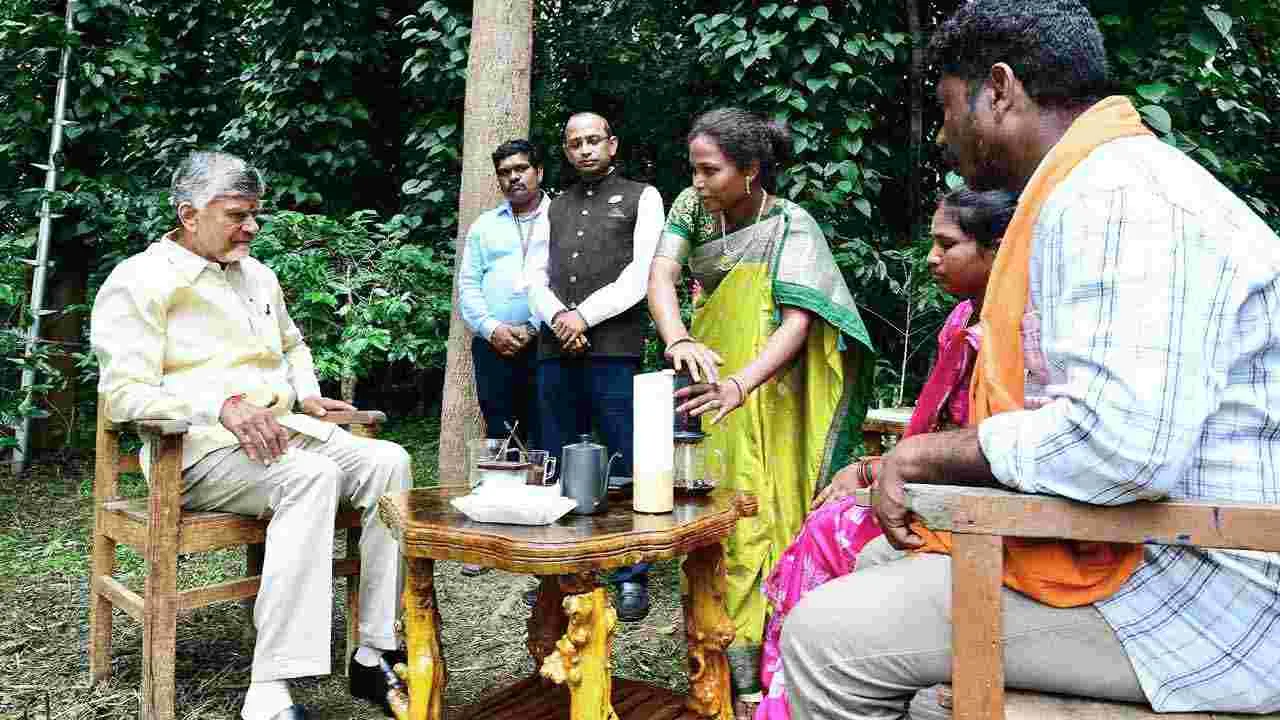 Tribal Day: ఏపీలో వైభవంగా ఆదివాసీ దినోత్సవం, అడవి బిడ్డలతో సీఎం చంద్రబాబు మమేకం