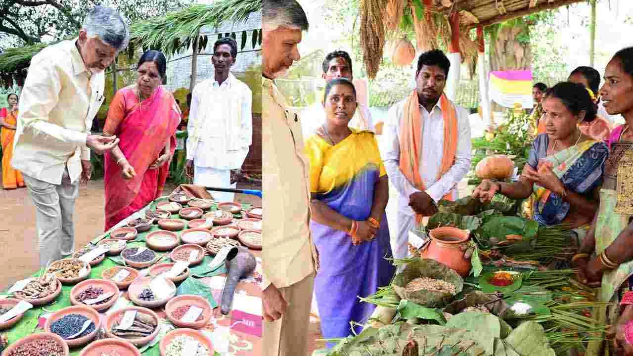 Tribal Day: ఏపీలో వైభవంగా ఆదివాసీ దినోత్సవం, అడవి బిడ్డలతో సీఎం చంద్రబాబు మమేకం