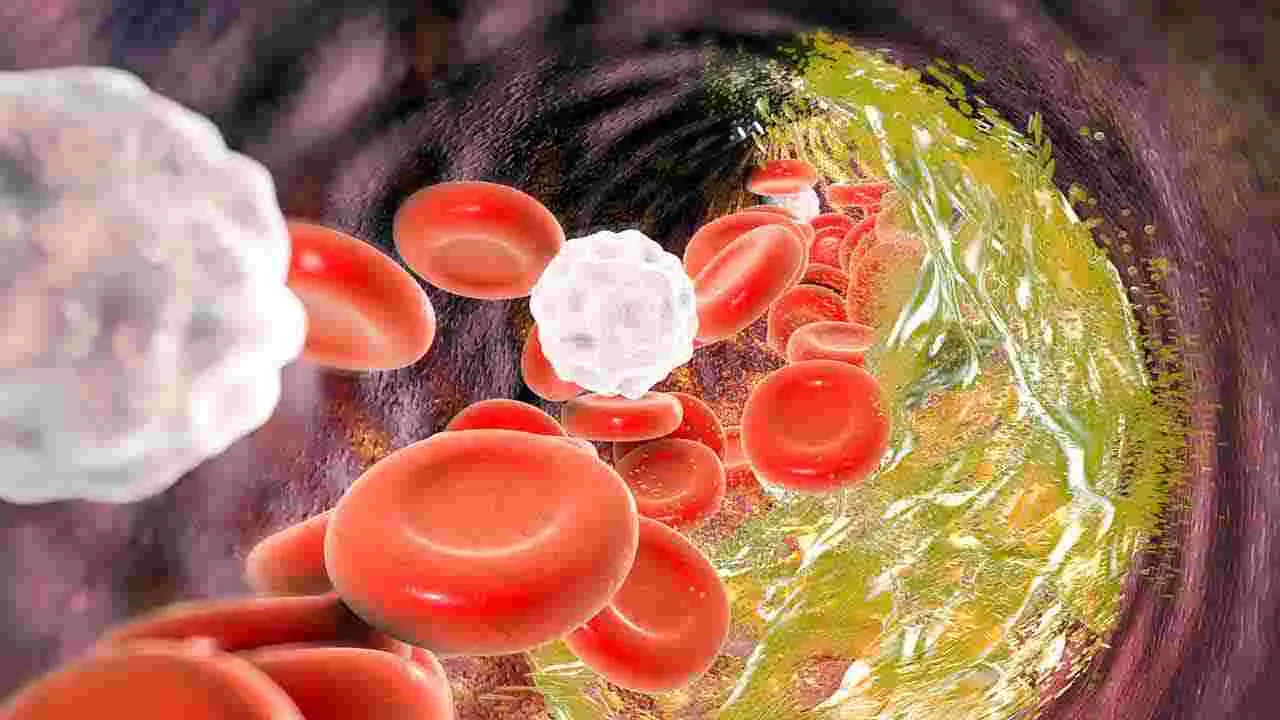 Health Tips: రోజూ ఈ పండు తిన్నారంటే చాలు.. అనారోగ్యం మీ దరి చేరకుండా ఉంటుంది.. 