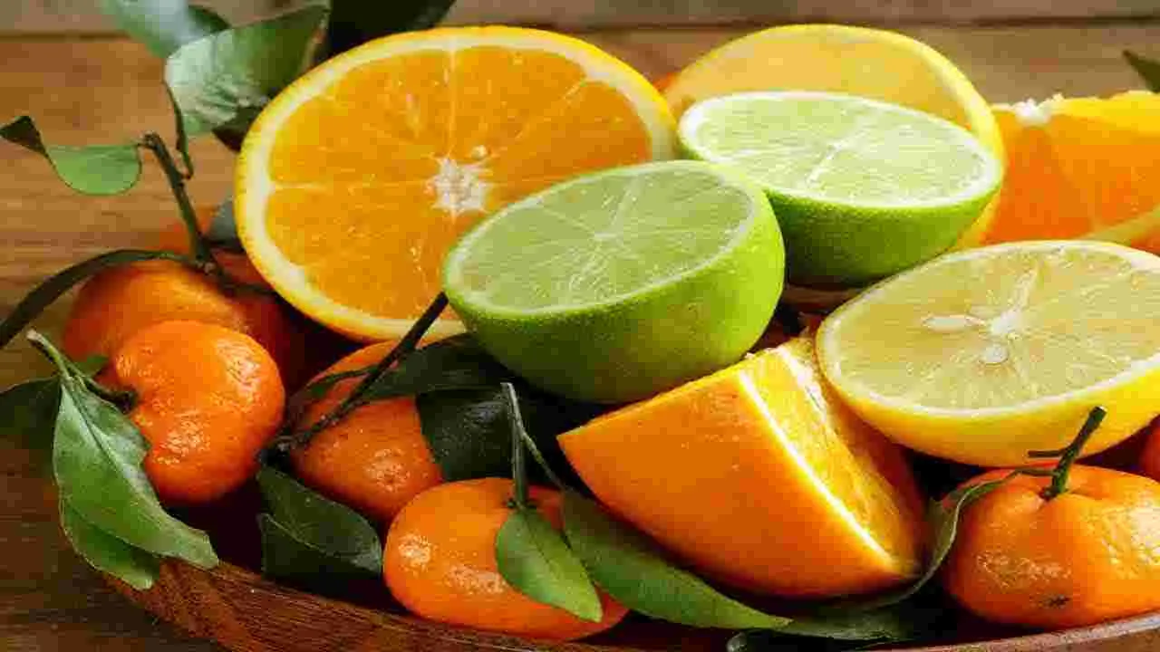 Monsoon Tips: వర్షాకాలంలో చీటికిమాటికీ జ్వరం వస్తోందా.. అయితే ఇలా చేయండి.. 