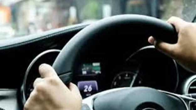 Driver Jobs: విదేశాల్లో డ్రైవర్‌ ఉద్యోగాలు