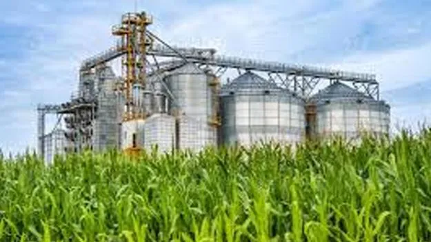 Internal Probe into Agro Industrie: ఆగ్రోస్‌లో అంతర్గత విచారణ